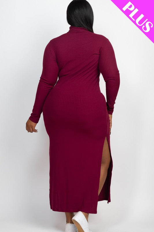 Curvy Long Sleeve Dress