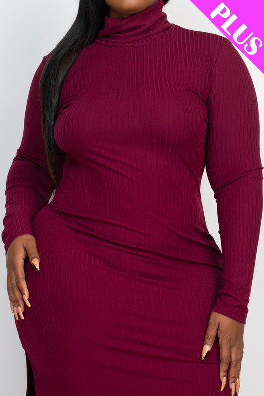 Curvy Long Sleeve Dress