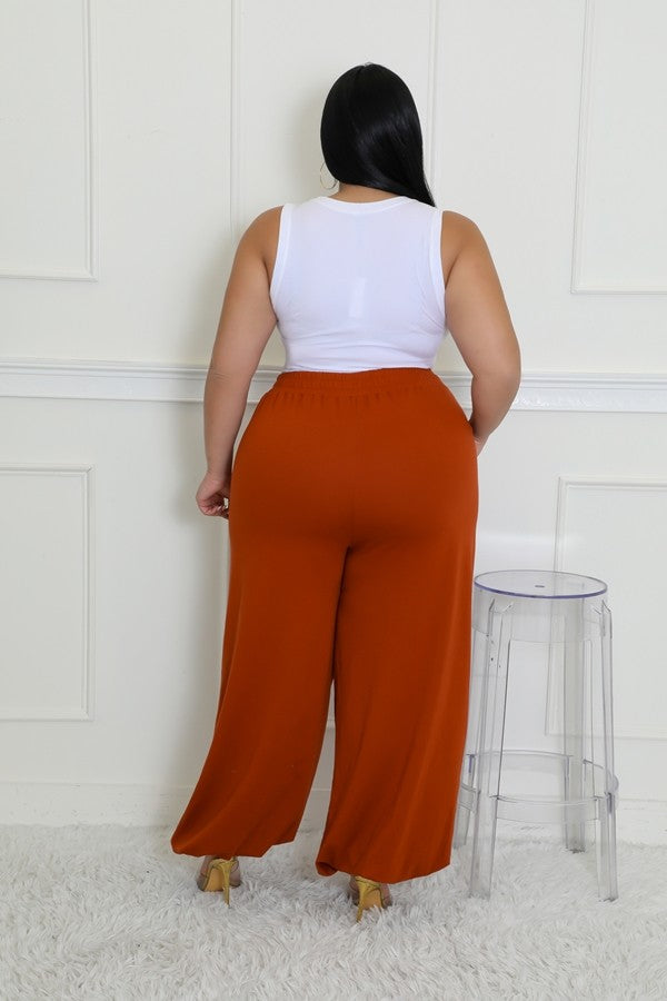 Effortlessly Chic Self-Tie Stretch Pants