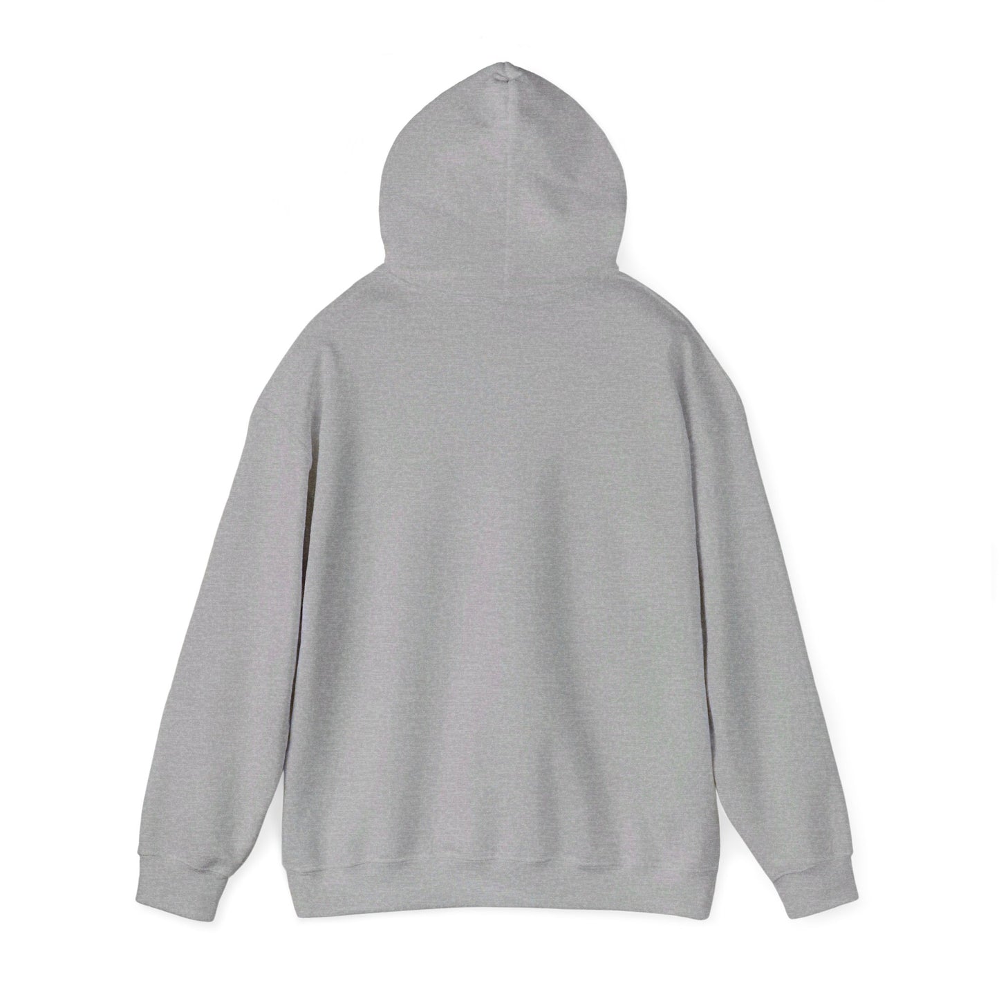 IDC Unisex Hooded Sweatshirt